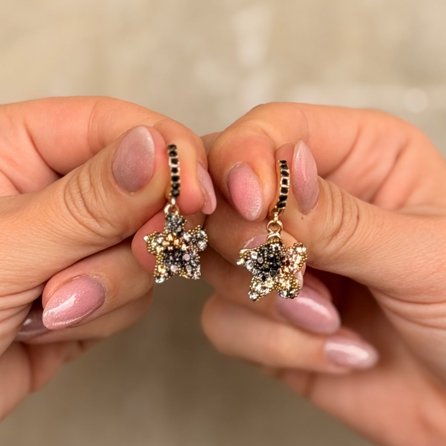 Caravanas estrellas